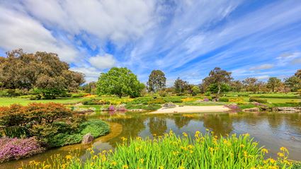 Japanese Garden - Cowra 